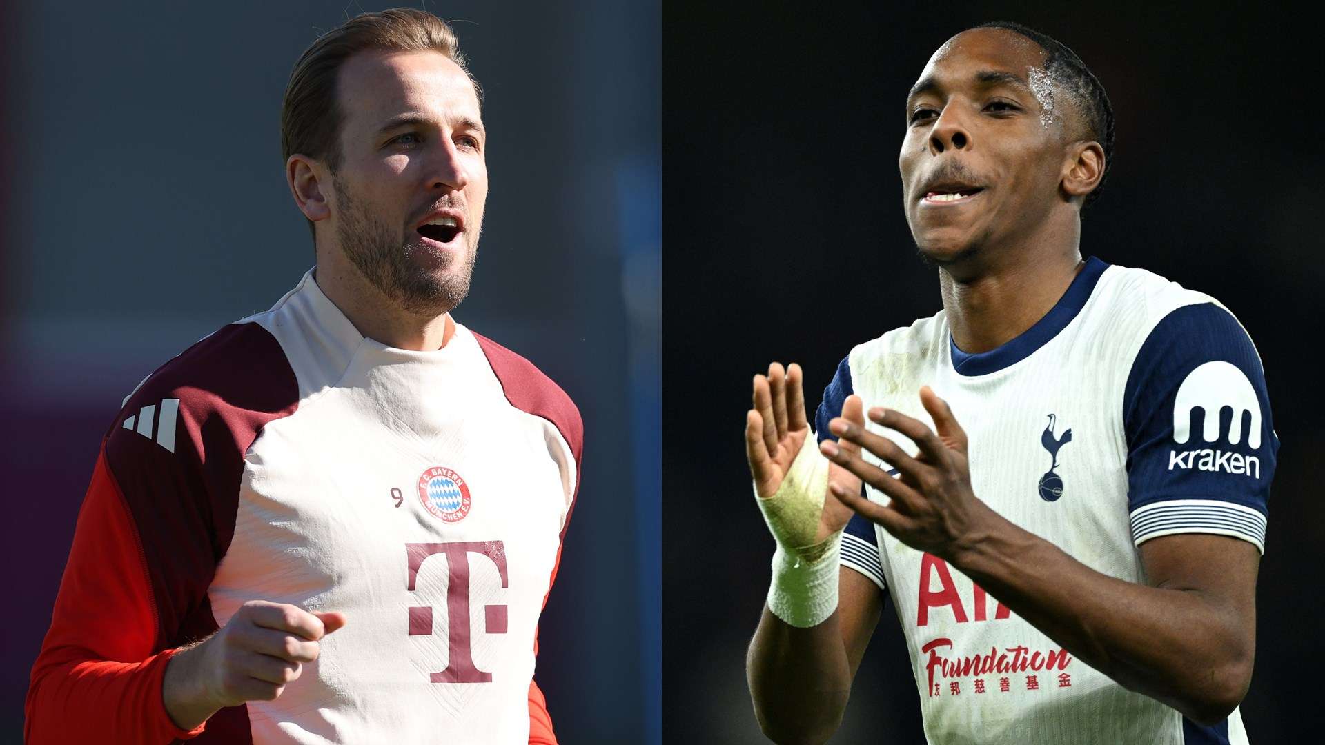 他们对新星 他们对新星