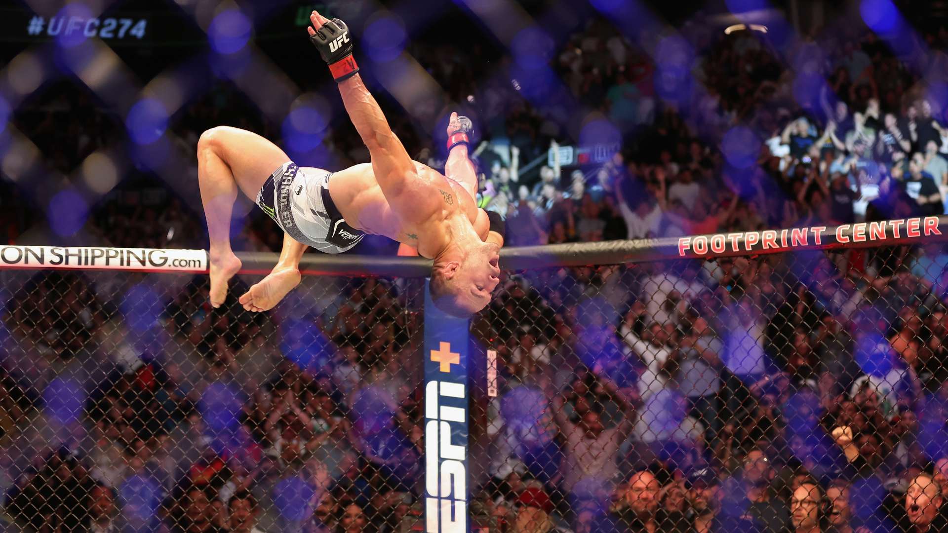 其中不乏像 其中不乏像