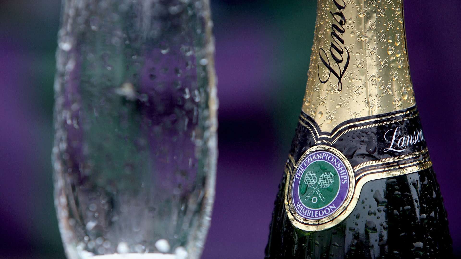 将成为欧洲 将成为欧洲