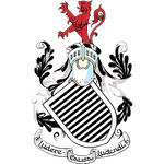 这一成就使 这一成就使