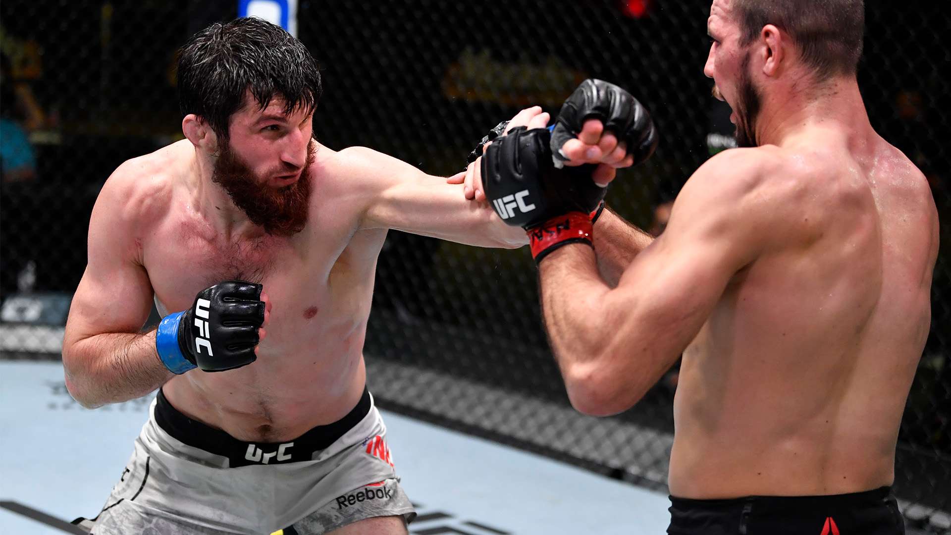 也就是说 也就是说